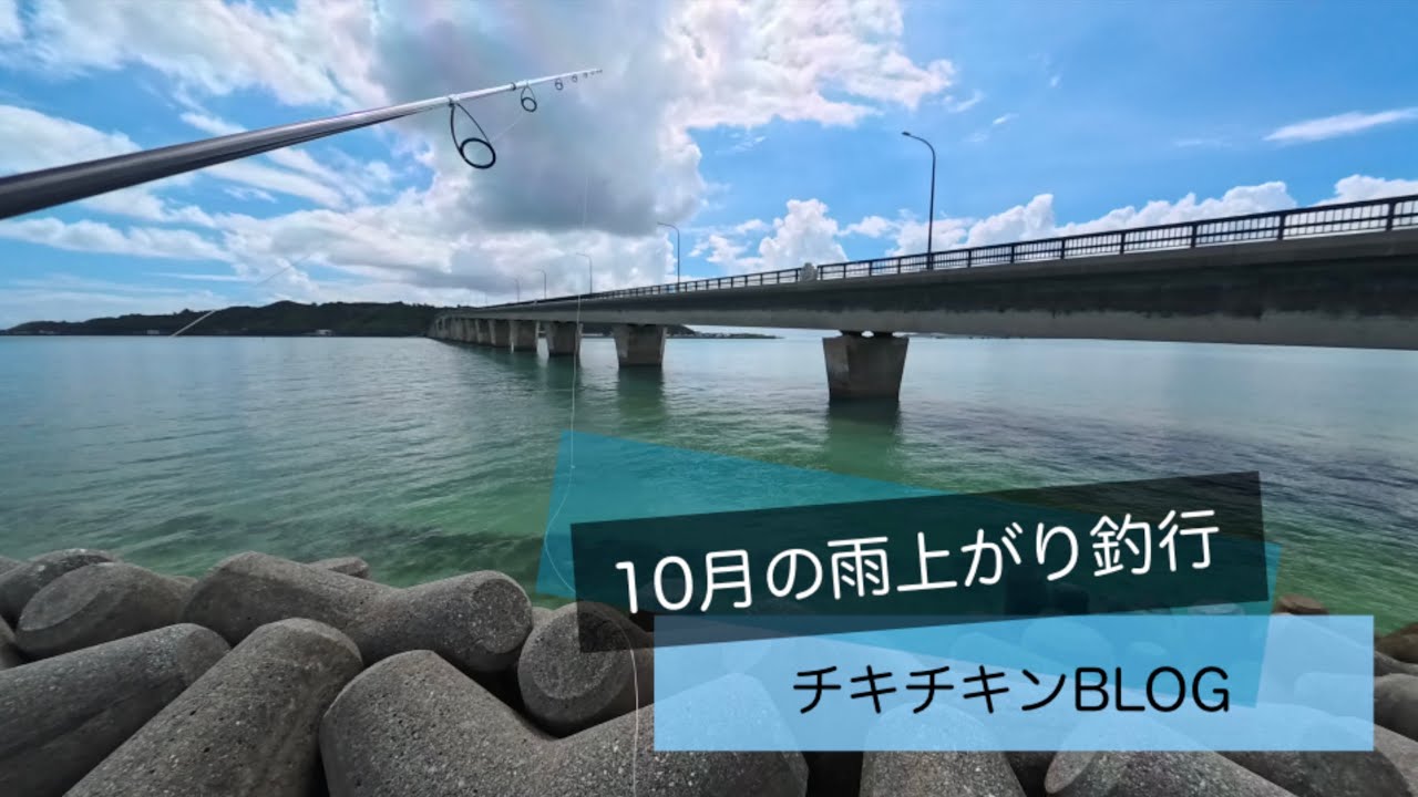 ［沖縄］10月の雨上がり釣行［ルアーフィッシング］#沖縄 #釣り #ルアー釣り #fishing #fishingvideo
