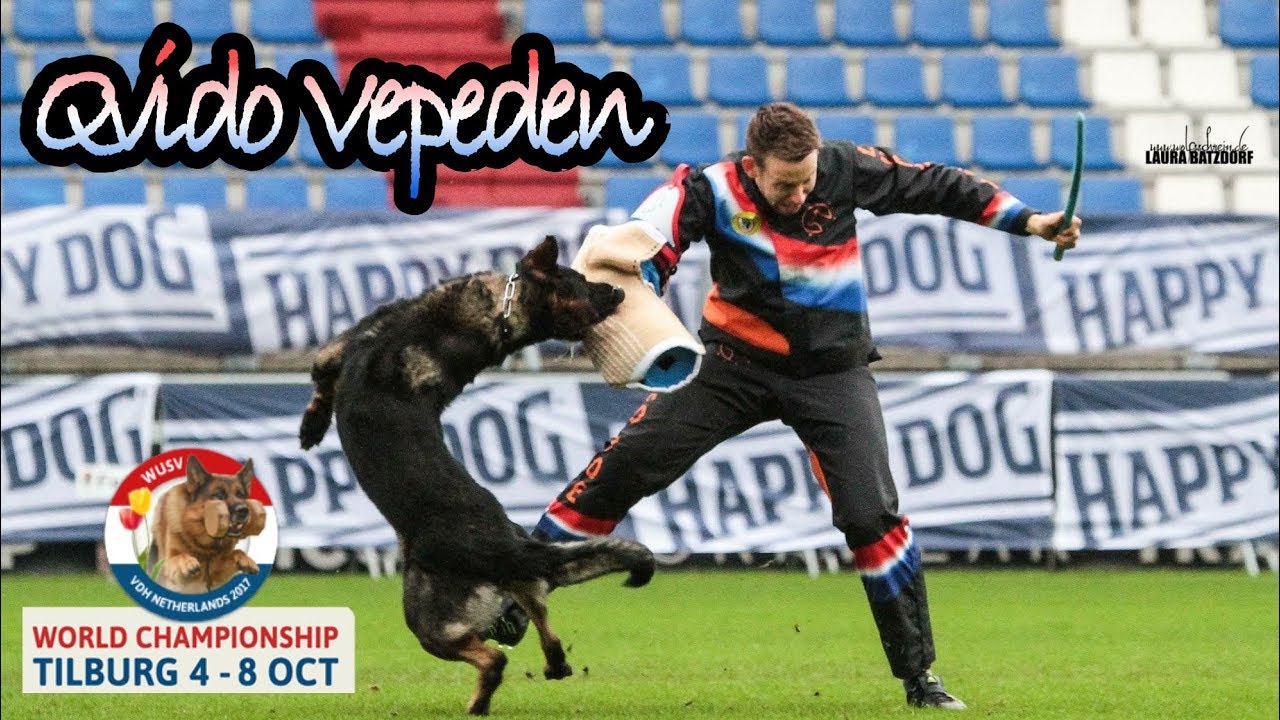 WUSV 2017 Vaclav Ouska Qvido Vepeden C Protection 90pts