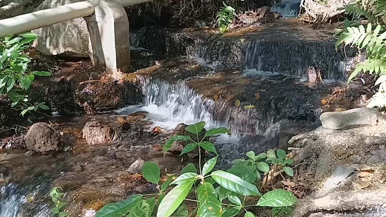Conozcamos El Platanar en Moncagua, San Miguel