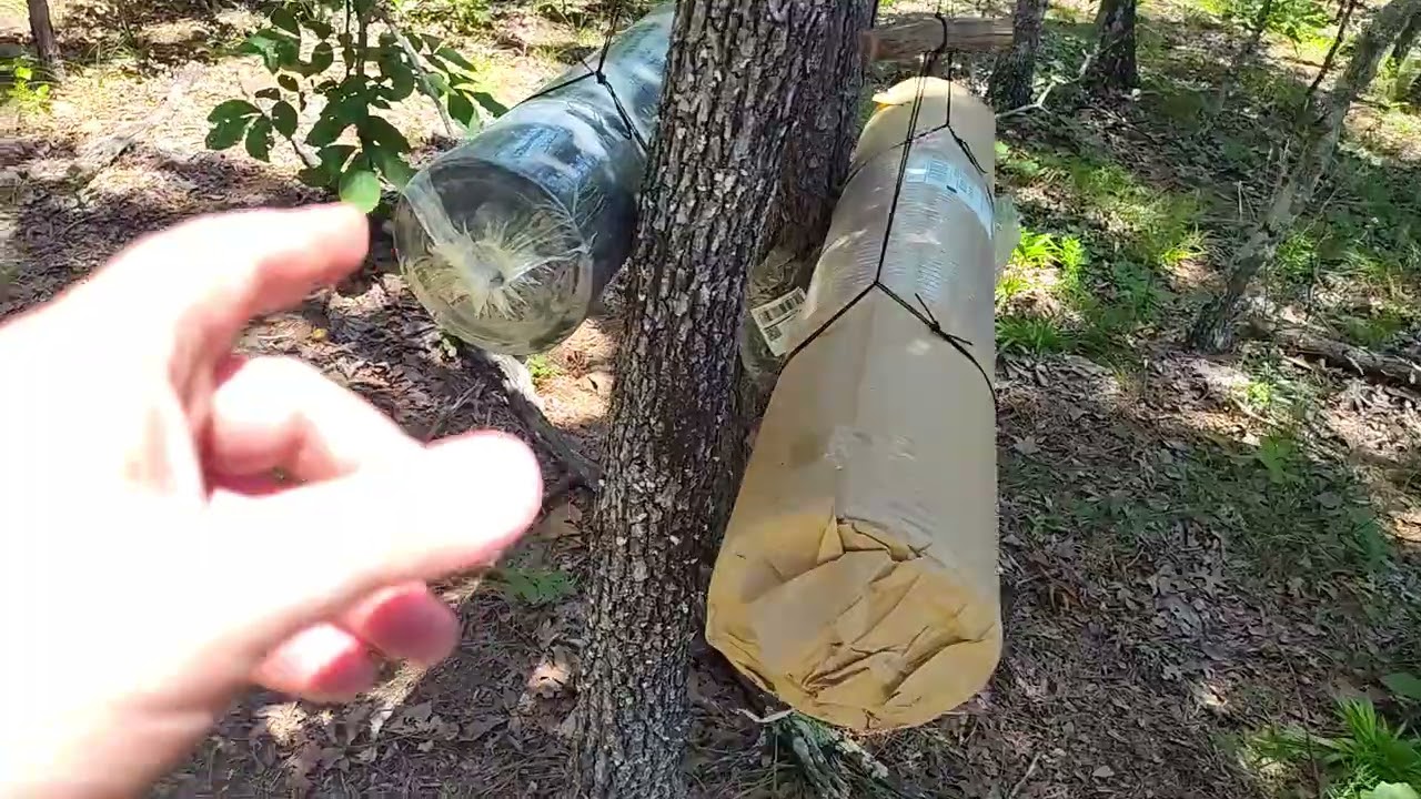 Bank line and toggles at camp