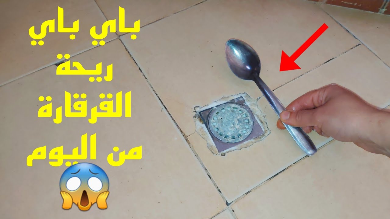 ولات كتخرجهم موسخين😢فرانك غيرجع بروفيسيونيل👌قهراتك ريحة القرقارة😱زيديها لكفتة دالسردين وشوفي البنة