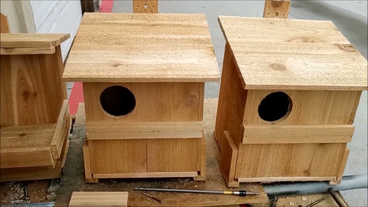 CHOOSING AN OWL BOX