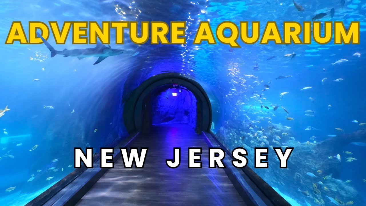 Exploring Adventure Aquarium In Camden New Jersey  Full Tour