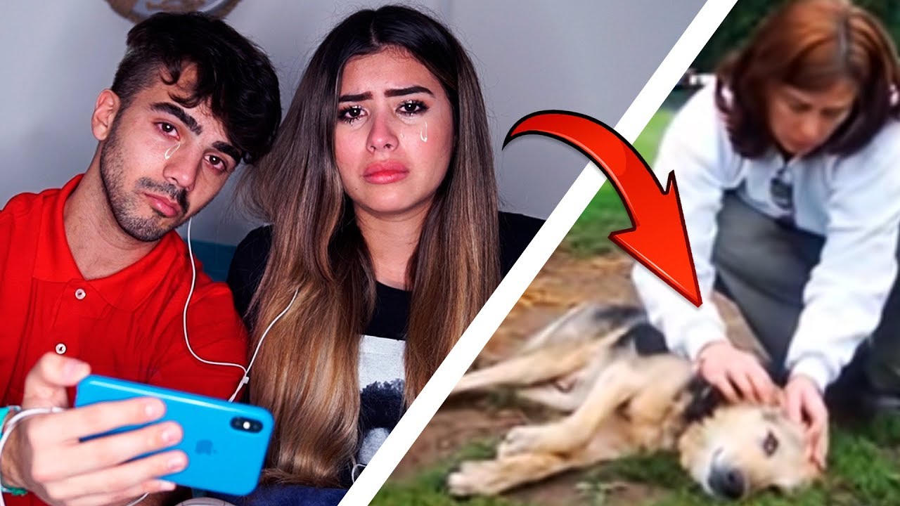 PUEDES VER ESTE VIDEO SIN LLORAR?