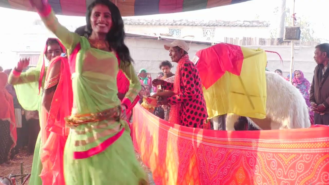 #basaha puja। nach program । nach program video । nirgun video