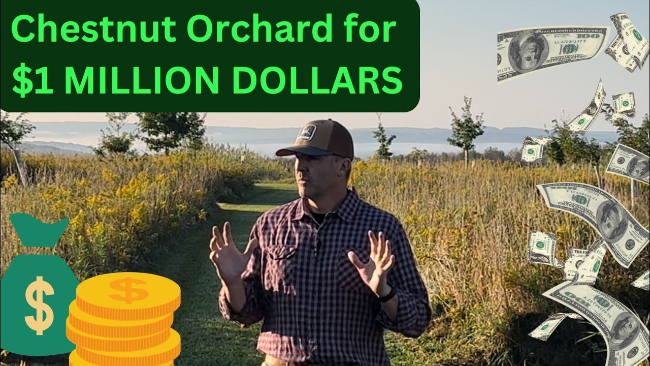 Chestnut Orchard for only $1,000,000!!