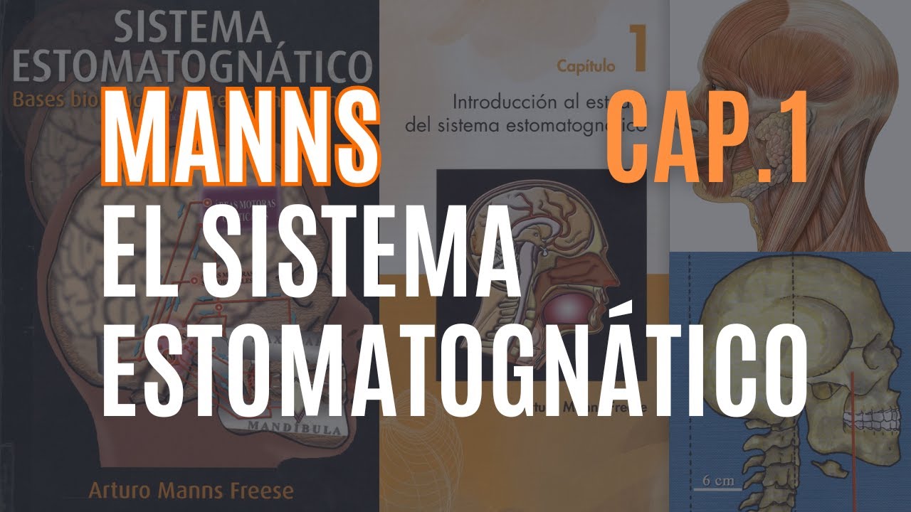 SISTEMA ESTOMATOGNÁTICO👤🦷 | Manns | Recapitulemos