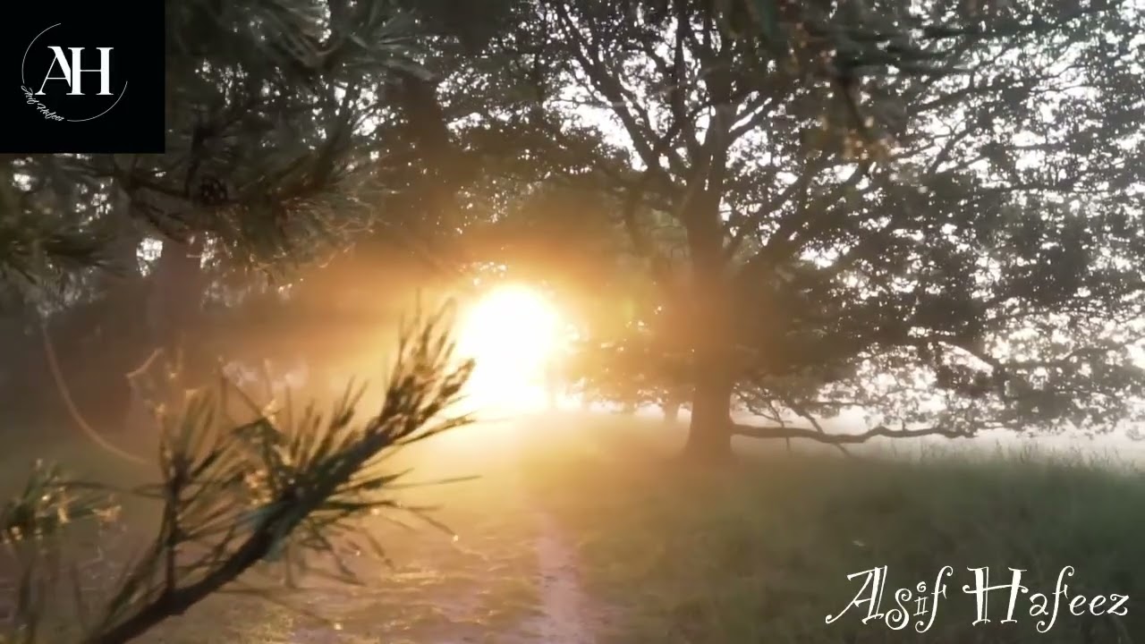 Relaxing Piano Music with Birds Chirping | Peaceful Morning Meditation & Positive Energy