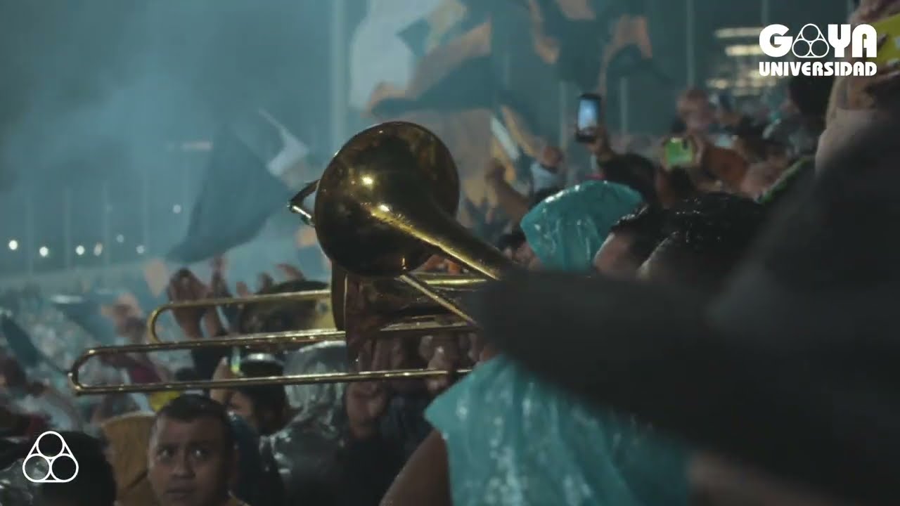 Dale, Dale Pumas Campeón | La Rebel 🥁