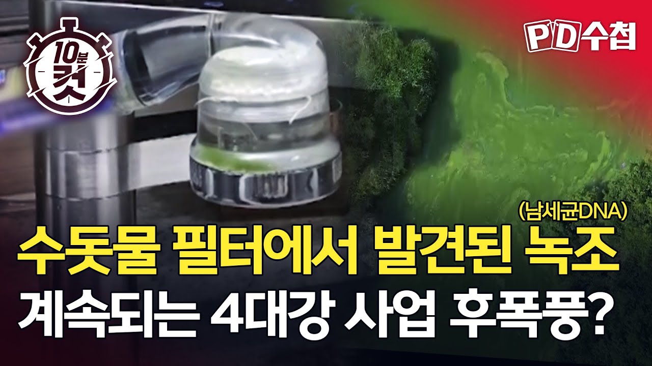 [PD수첩 10분 컷] 수돗물 필터에서 발견된 녹조 (남세균DNA), 계속되는 4대강 사업 후폭풍? - 2025년 9월 30일 방송