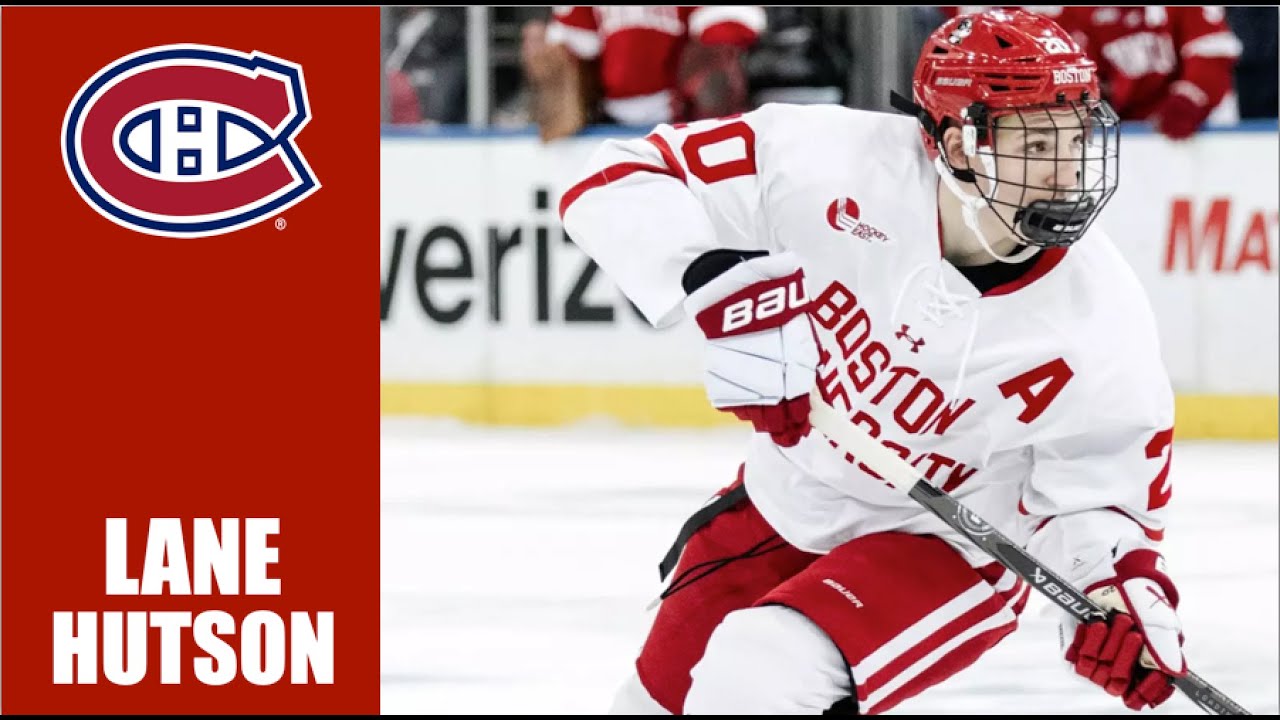 NHL Prospects : Lane Hutson - 23-24 Highlights