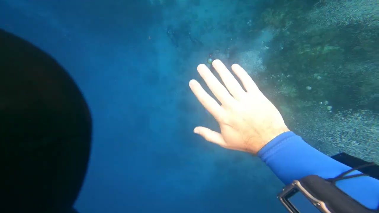 Dive 95