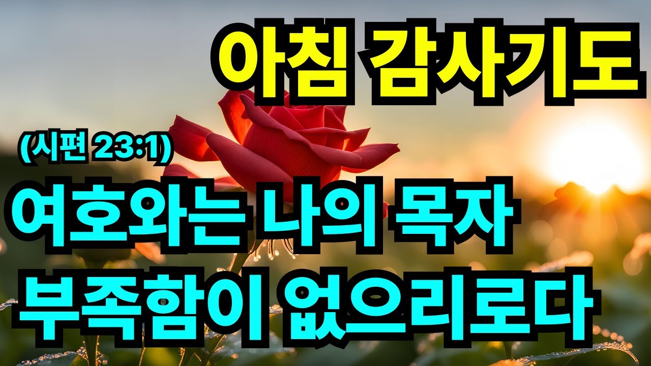 시편 23편 1절 아침기도: “여호와는 나의 목자시니 부족함이 없으리로다” | 공급·인도·보호의 은혜를 구하는 1시간 말씀 기도 | 하루를 시작하는 감사기도
