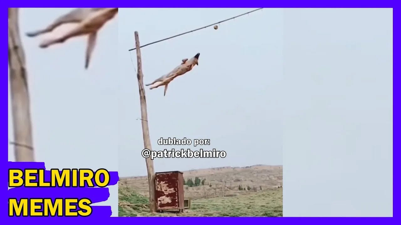 Belmiro Memes: Melhores dublagens engraçadas da semana 69