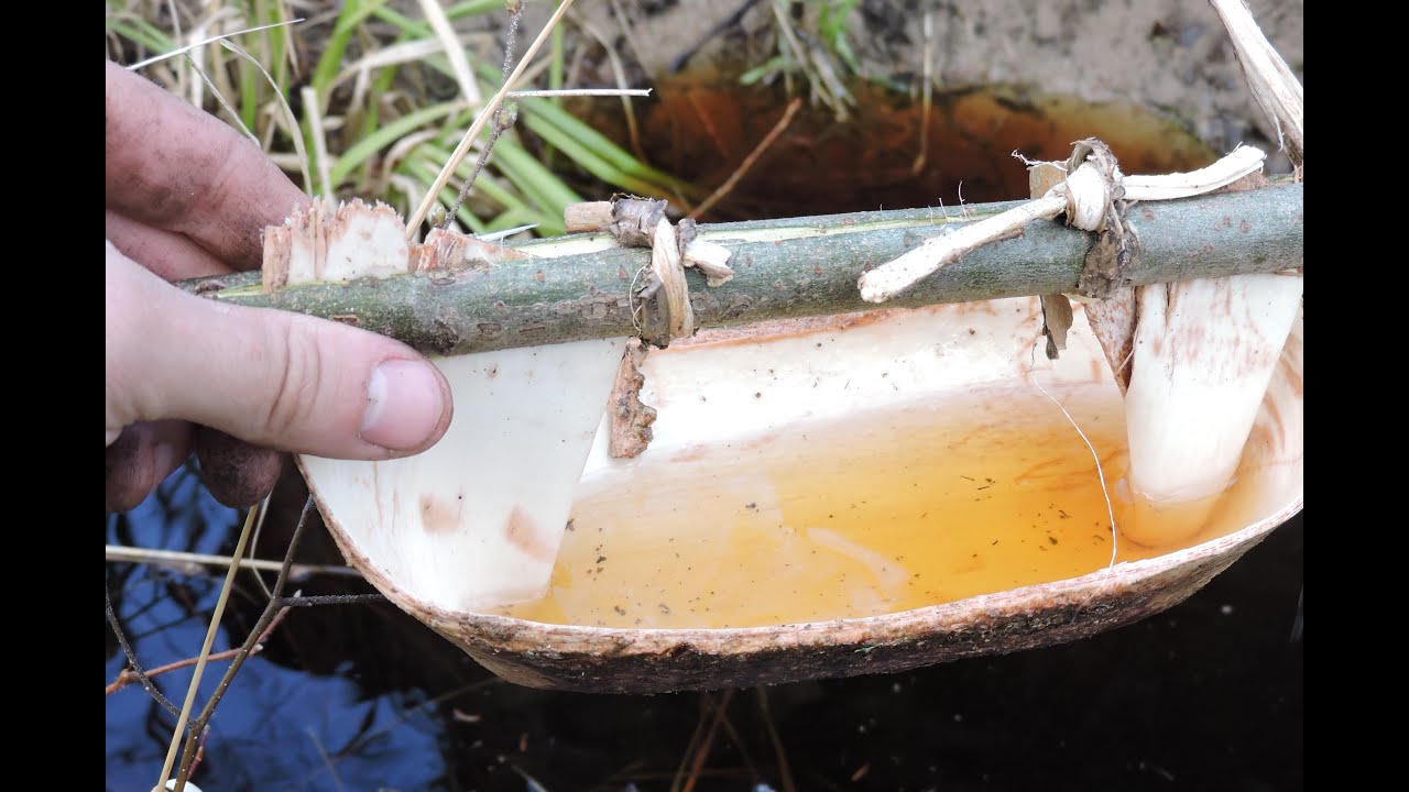 Spruce bark watertight basket / container