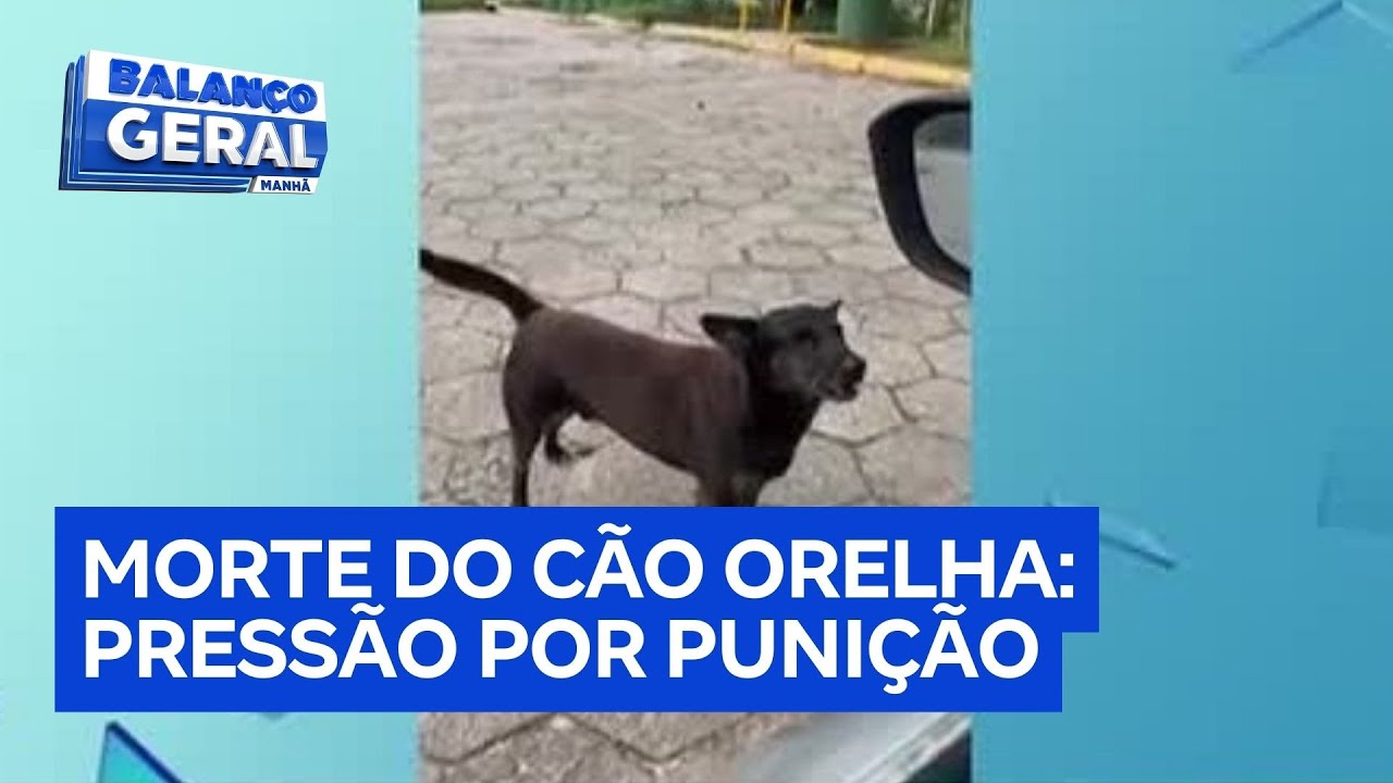 Caso Orelha: entidades querem que morte do cão seja julgada pela Justiça Federal
