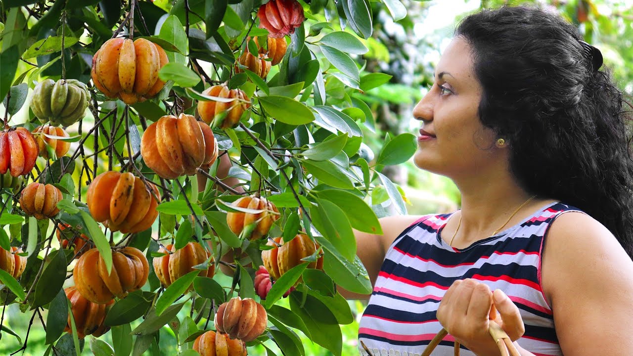 A buddy who cures hearts | Gambooge | Poorna - The nature girl |