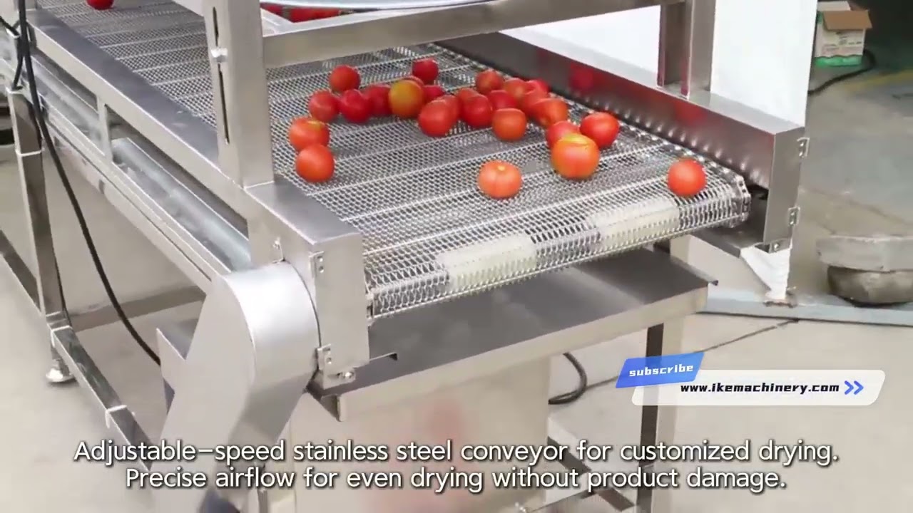 Industrial Fruit and Vegetable Adjustable Blower Air Dryer Machine 丨 IKE Machine