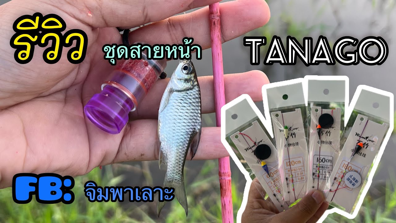 รีวิวชุดสายหน้าตกปลาเล็ก/Tanago