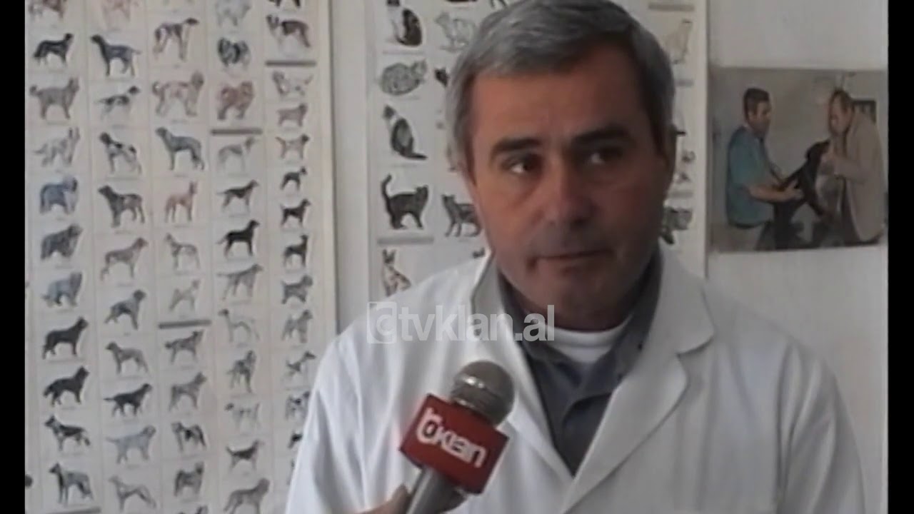 Rreziku qe vjen nga kafshimi i qenit te terbuar dhe vaksina qe duhet bere (1 Prill 2001)