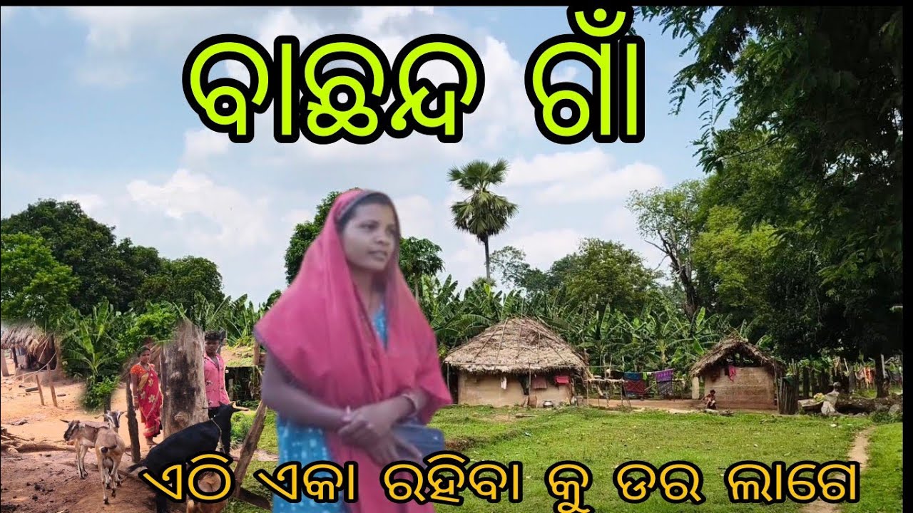 ବାଛାନ୍ଦ ଗାଁ❗ଏଠି ଏକୁଟିଆ ❗ରହିବା ମନା#travel#ranjanmitaexpressvlog #travellife #tribelife #villagelife 