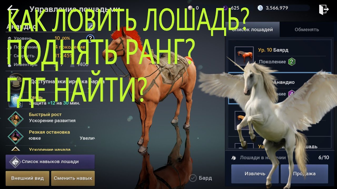 КАК ЛОВИТЬ ЛОШАДЬ / КАК ПРОКАЧАТЬ ЛОШАДЬ / ГДЕ НАЙТИ ЛОШАДЬ / Black Desert Mobile