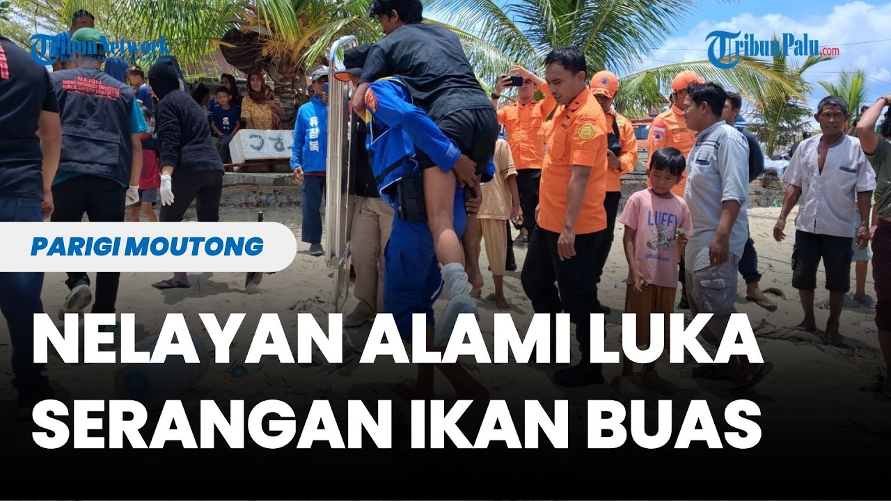 Nelayan Hilang di Parigi Moutong Alami Luka Akibat Serangan Ikan Buas