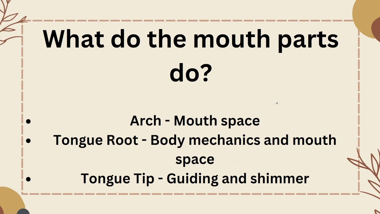 Information Session #8 - Vocal Anatomy!