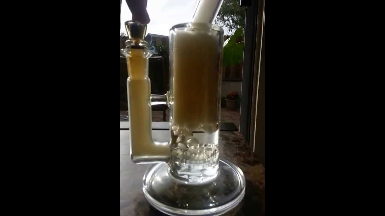 Kush North Cal Scientific gridded puckline