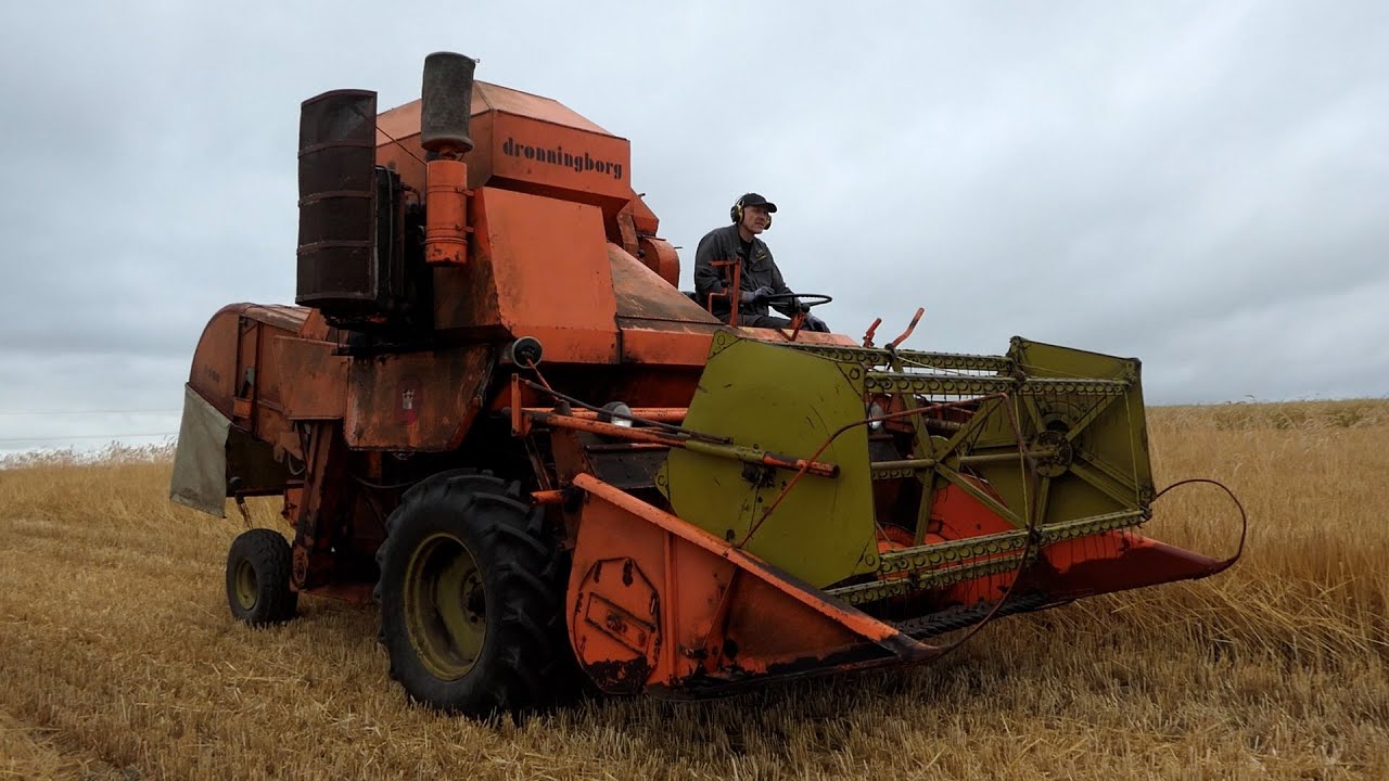 Dronningborg D900 Self-Propelled Harvester in the field harvesting Barley | Danish Harvest 2022