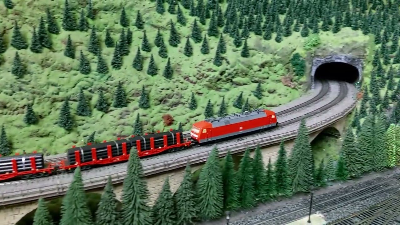 Fahrbetrieb auf der vereinsanlage Arndt seine Züge