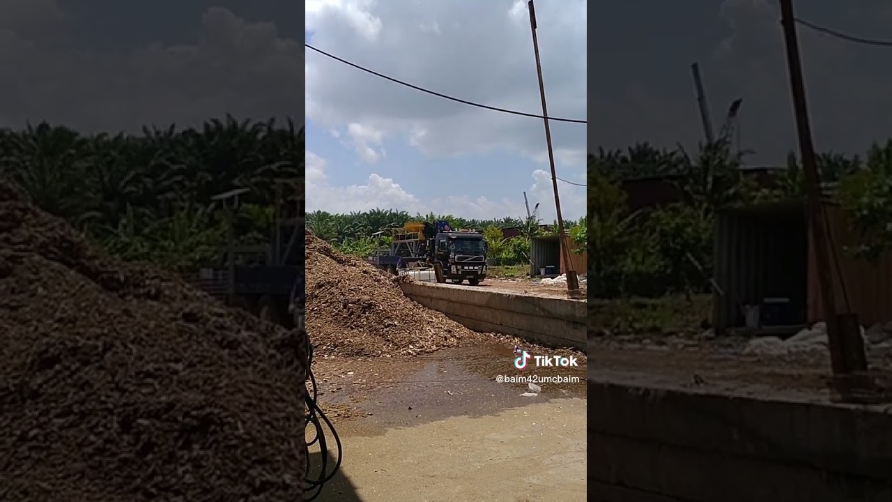 #mesinproses #mesinpemotongkayu #mesinberat