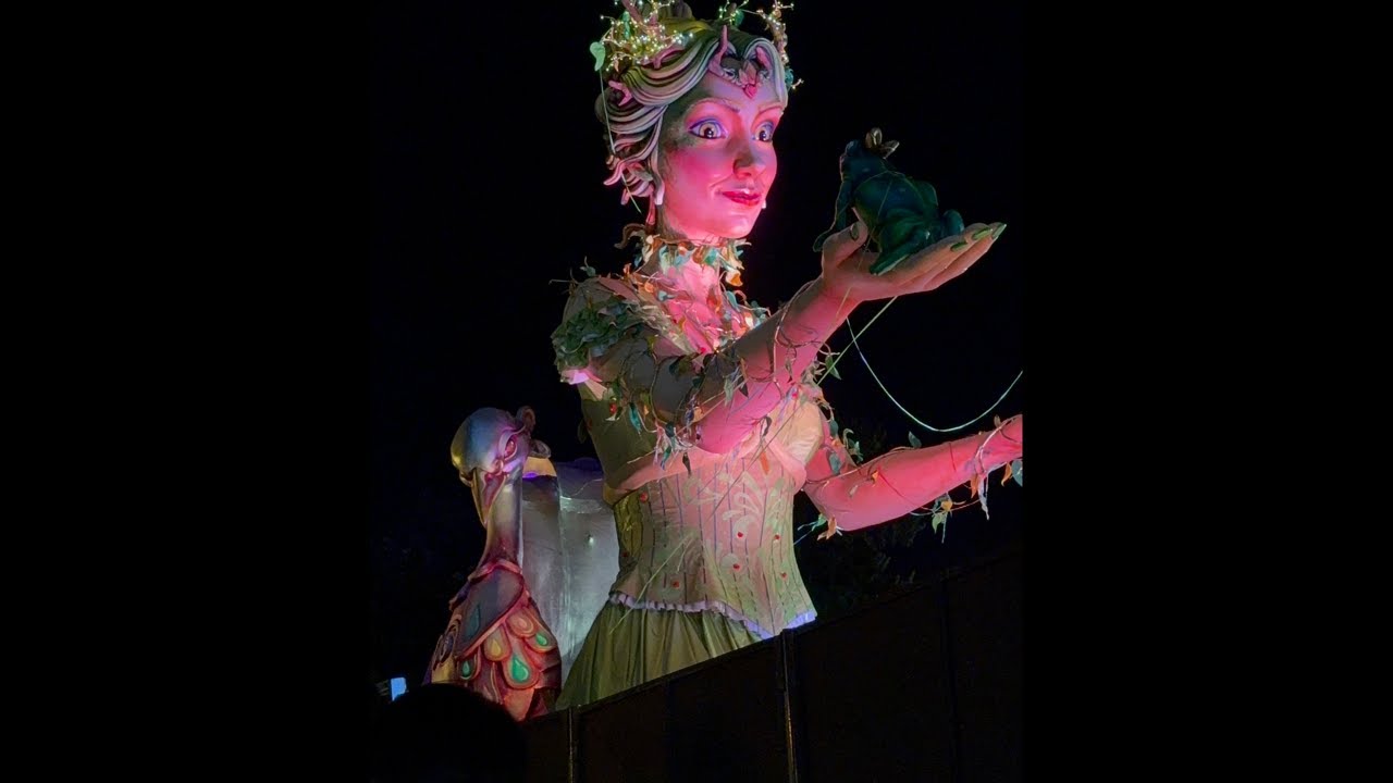 Witnessing the end of Carnaval de Nice France #subscribe #night