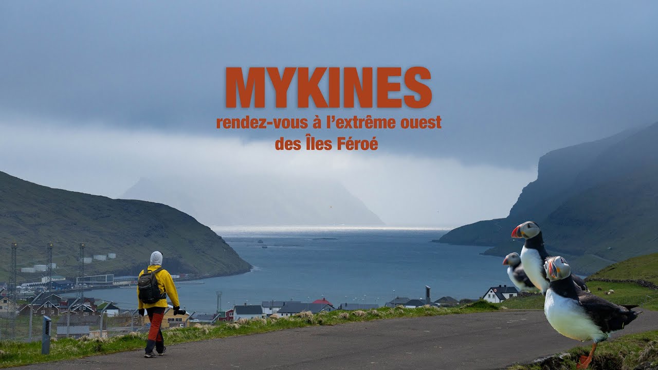 On réalise un rêve : aller photographier des macareux aux Îles Féroé! | Travel Film