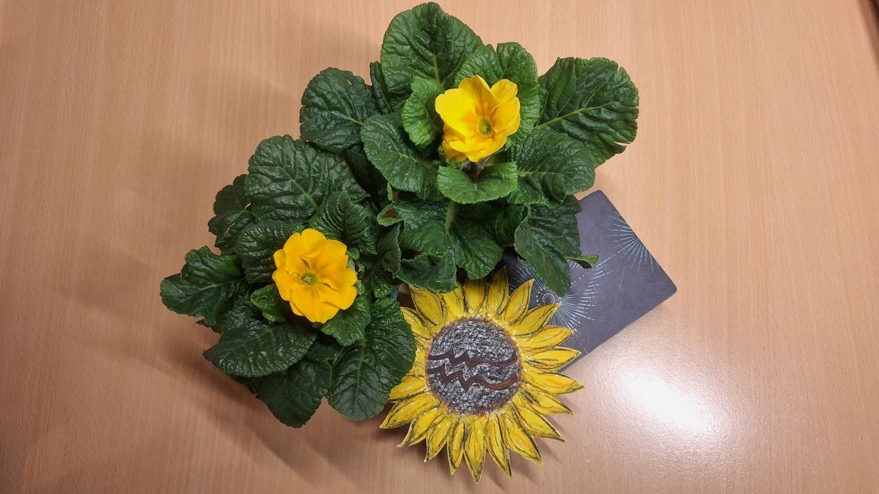 🌻💖 Vodnář ♒ březen 2026 - Konec zátěže, otevírá se nová cesta plná lásky🌺🌼🙏💖🌻