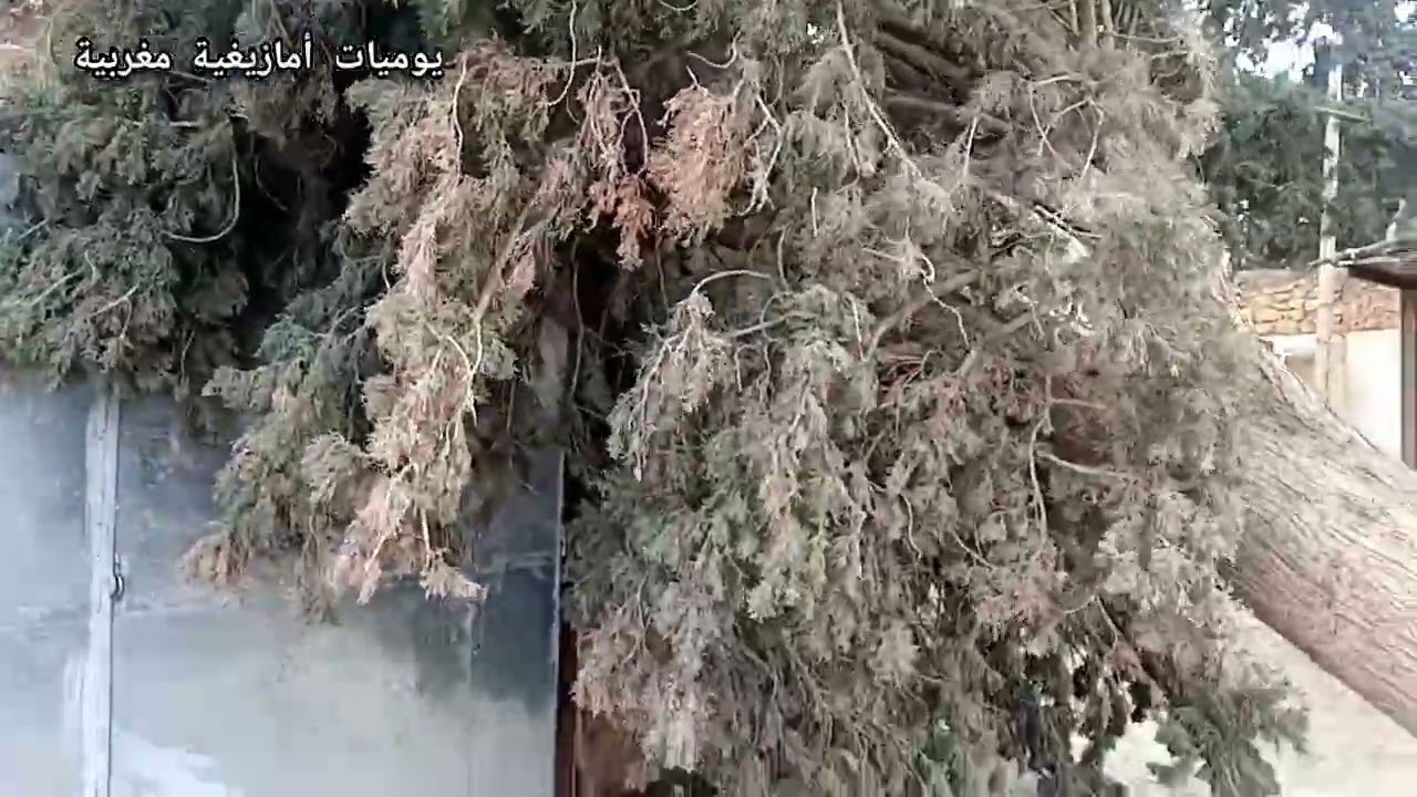 الحمد لله على لطف الله
