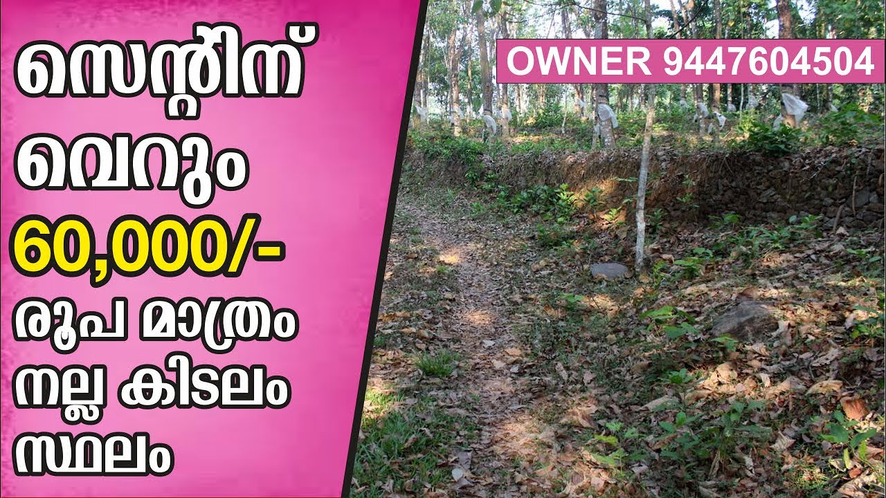 സെന്റിന് വെറും 60000/- രൂപ മാത്രം |Plot For Sale In Kottayam| Below 60000/- only | Kottayam Property