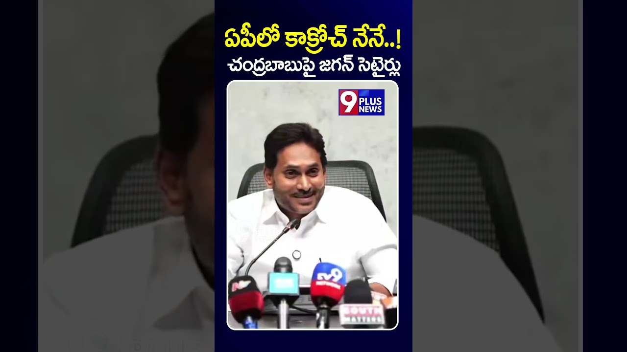 ఏపీలో కాక్రోచ్ నేనే..! | YS Jagan | CM Chandrababu Naidu | Cockroach Party | 9Plus News