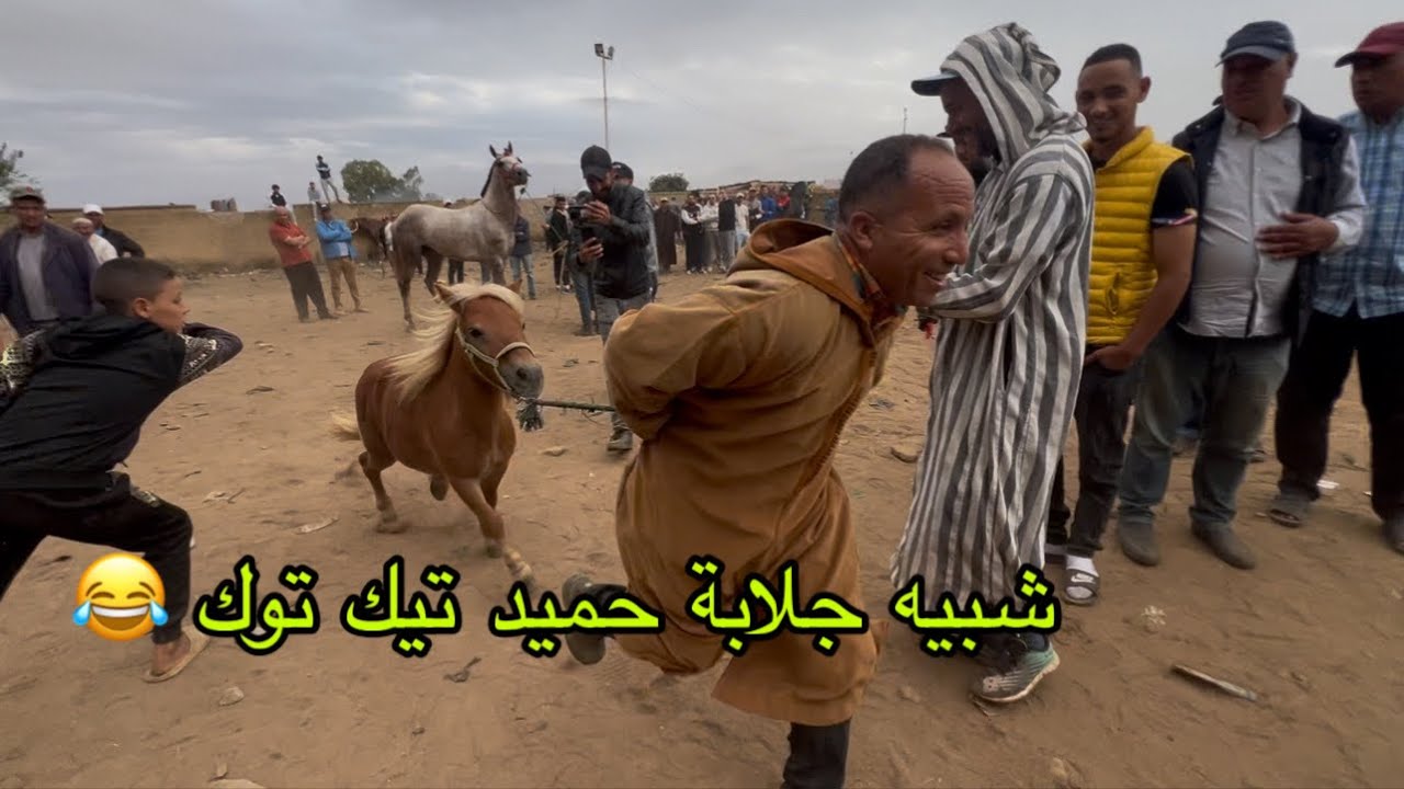 ثمن الخيول من سوق الثلاثاء الخميسات  مع امطار الخير👍❤️بتاريخ 9/9/2025