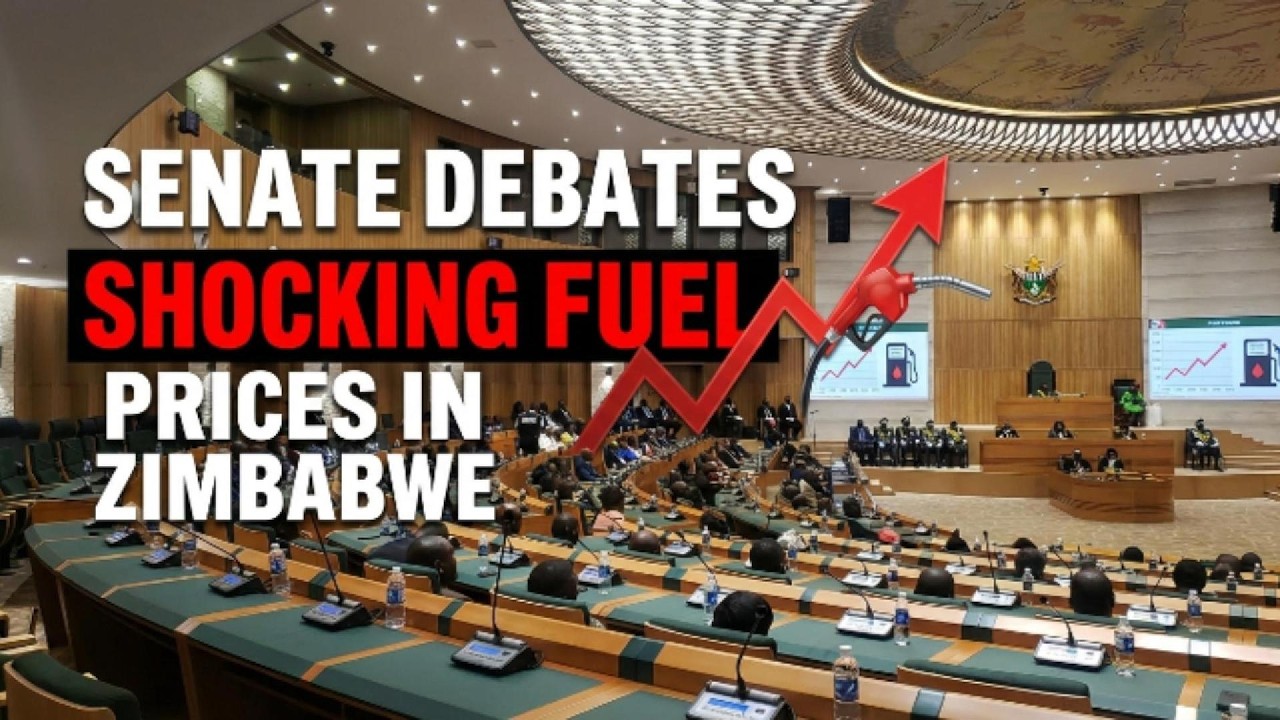 Senate discusses shocking fuel prices in Zimbabwe