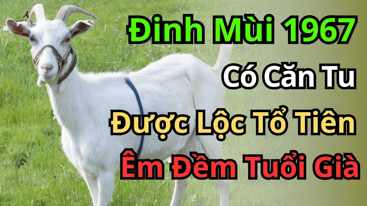 Đinh Mùi 1967: Con Giáp Có Căn Tu Sâu Dày, Hưởng Trọn Lộc Trời, Tuổi Già An Nhiên Tự Tại.