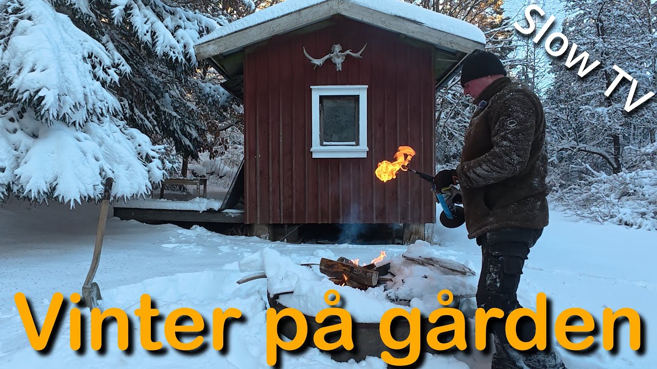 Slow TV Vinter på gården