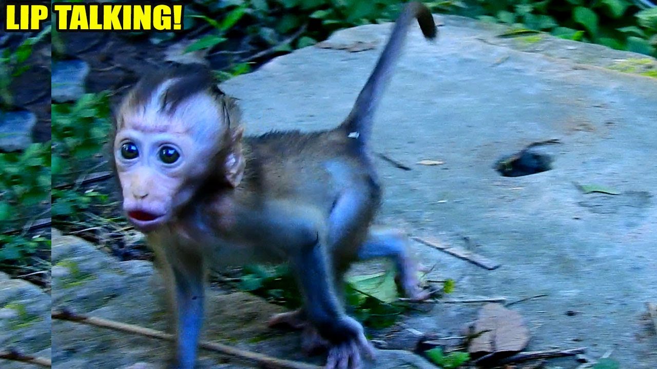 BREAKING NEWS! BB RAINBOW CAME CLOSE TO CAMERAMEN AND USED HER LIP TALKING WITH FUNNY FACE.