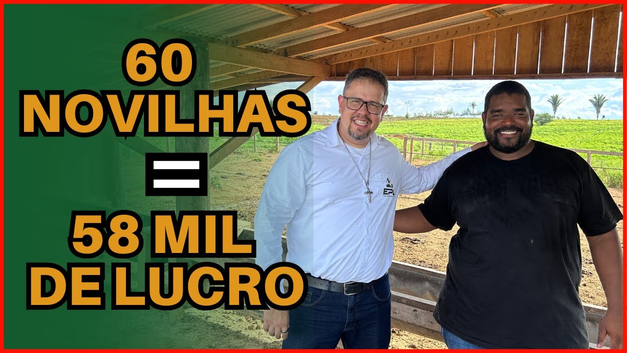 58 mil de lucro com 60 novilhas