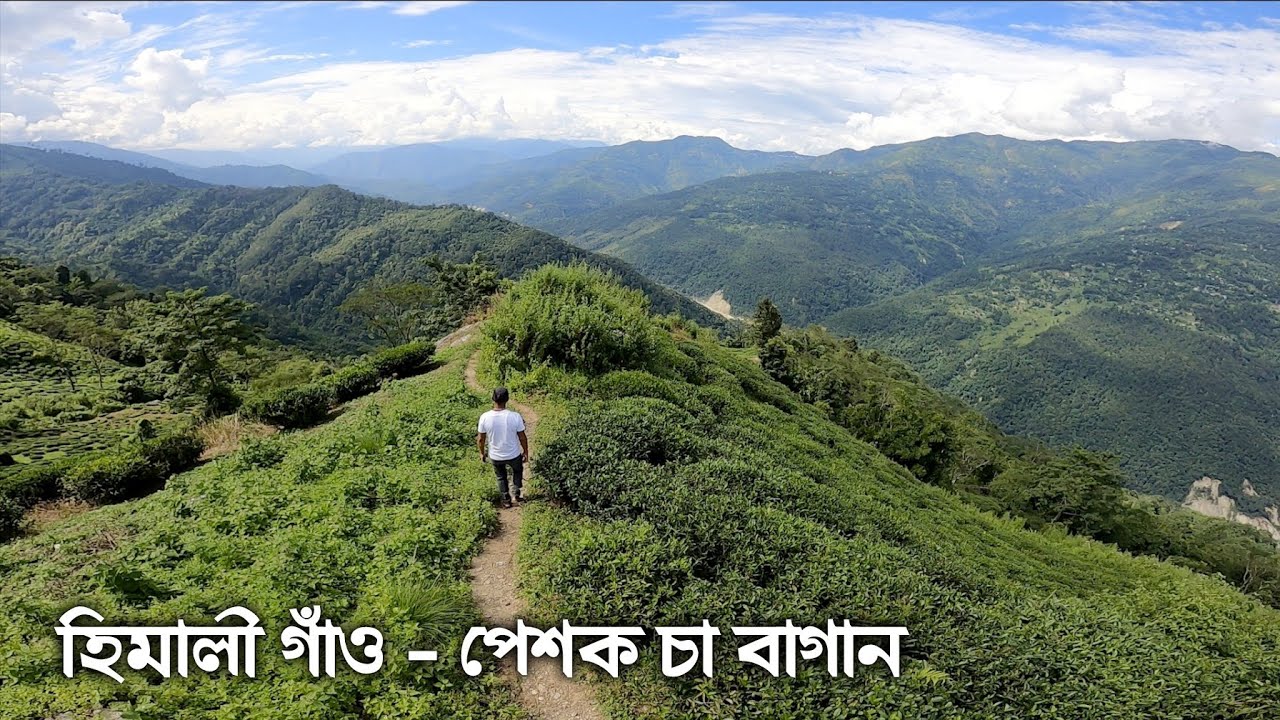Himaly Gaon ~ Peshok Tea Garden, Darjeeling ↑ Travel Vlog #153 with Santanu Ganguly
