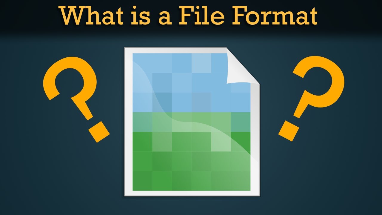 What is a File Format?
