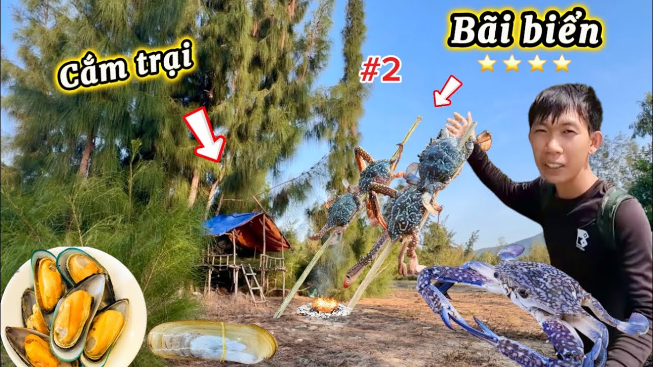 Ngày thứ 2 cắm trại trên bãi biển săn bắt hải sản vào mùa nước cạn gặp ổ ghẹ xanh quý hiếm |camping