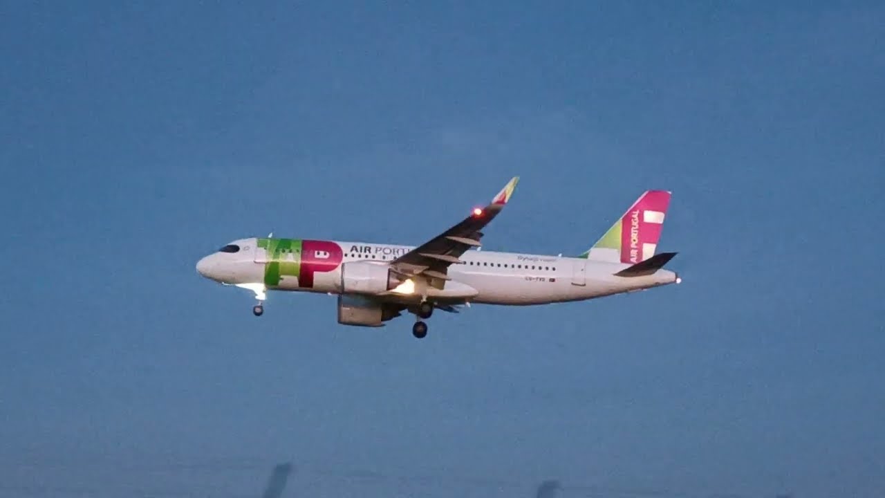 Top aterrisagens aeroporto do porto 