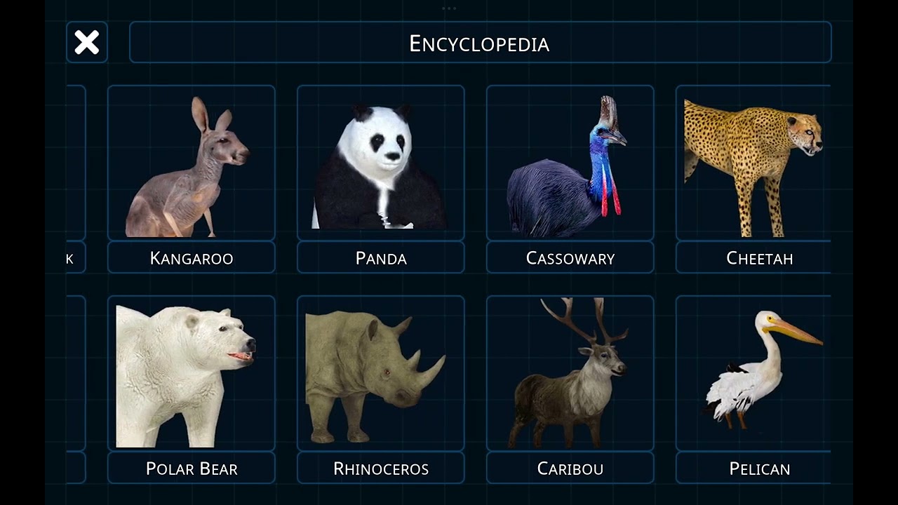 4d kid explorer wild animals: every fact