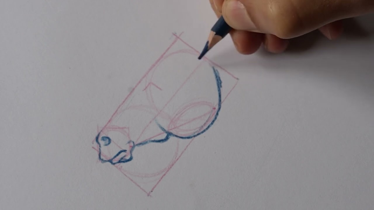 A pencil sketch of a horse’s head.